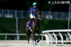 1番人気に応える快勝劇だった