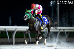初めて経験する控える競馬もあっさりとクリアしてレースセンスの高さを示した
