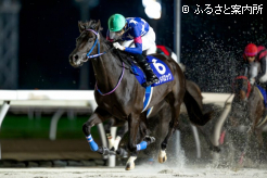 着差以上の強さで堂々重賞初勝利