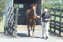 元気な姿でイーストスタッドに到着した