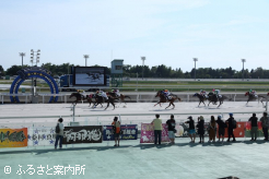 この日は7つの安平町協賛競走が行われた