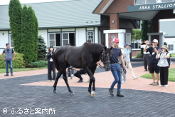 新たな巡回先になった公益社団法人日本軽種馬協会静内種馬場