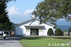 見学が始まったレックススタッド