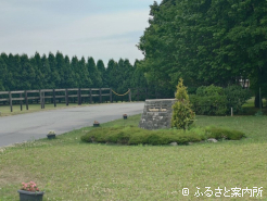 緑も一際濃さを増している