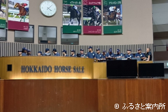 北海道市場を見学