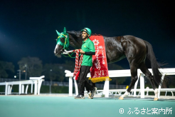 勝ちタイムの1分13秒1は昨年、一昨年のエーデルワイス賞(Jpn3)と同じ