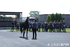 一流種牡馬の歩様、肢勢などを学んだ