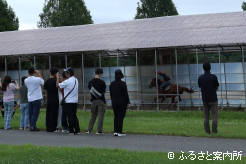 調教の様子を見学