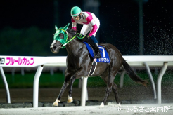 圧倒的なスピードで重賞2連勝