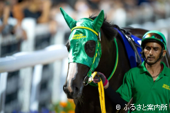 偉大なる半兄に一歩近づいたリュウノフライト