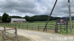 分場の放牧地