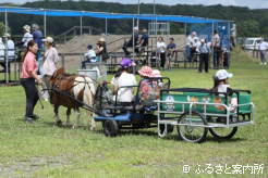 ポニー馬車を楽しむ子ども