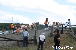 今年で第5回目を迎えた日高ポニー輓馬大会