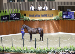 牝馬最高ナリタブルースター2024場内