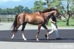 2022年の目黒記念(G2)など重賞3勝をあげた