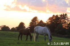 写真5 [夕景]
