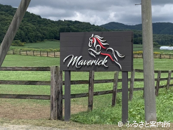  (株)Maverickの看板