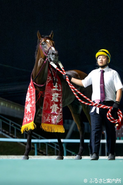 ホッカイドウ競馬史上8頭目の三冠馬となったソルジャーフィルド
