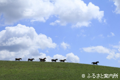 写真2 [丘を駆ける]