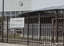 誘導馬たちも暮らす乗馬センター