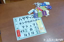 ファンからのお守りと馬名プレート
