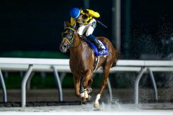 着差以上の強さで先頭ゴールインを果たしたベストグリーン