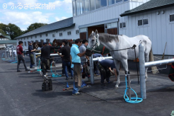 令和7年度装蹄師認定講習会の秋季北海道研修