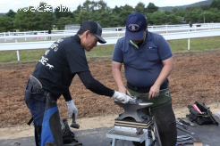アドバイスを送る北海道日高装蹄師会の門別尚省会長