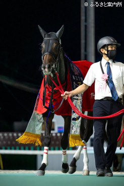 4つの目の重賞勝利「馬も自信を取り戻してくれたのでは」と岩田望来騎手