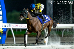 盤石の強さを見せて重賞初勝利のキャンディドライヴ