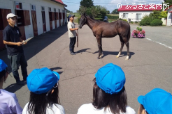 離乳した当歳馬を見学