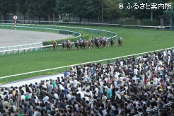 2開催14日間の開催となった札幌競馬場