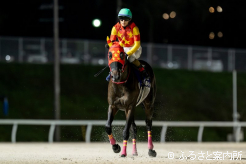 今シーズンの重賞4連勝の合計着は34馬身となった