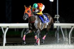 瑞穂賞連覇で重賞14勝目