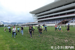 札幌競馬場の芝コースを疾走