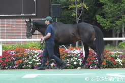 パドックに登場したタイトルホルダー