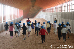 屋内坂路コースを駆け上がった