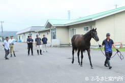 JRA職員によるメディカルチェック