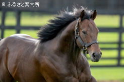 暑かった夏にも負けることなく元気いっぱいだという