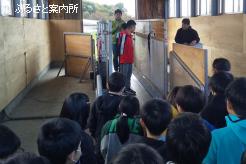 トレッドミルのトレーニングを体験した