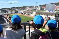 レース前のパドックを見学