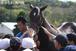 馬とふれあう児童