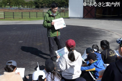種牡馬や種馬場の仕事について学んだ