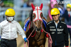 気合を表に出してパドックを周回するゼロアワー
