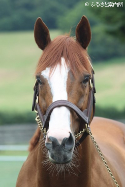 写真：ジャスティン