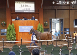 受胎馬高額第2位コンシェンス