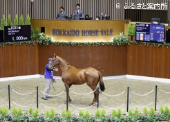 牝馬最高ハヤブサレディゴー2024場内