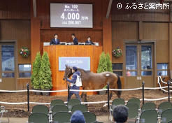 受胎馬高額第1位ダノングレース