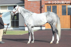 2024年の高松宮記念(G1)を制覇した