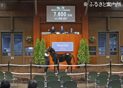 牝馬最高ポジティブマインドの2025